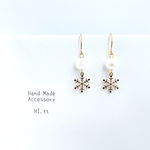 pierce/earring.672