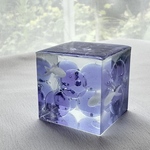 【第四夜8/13☆金魚夜祭】 BLUE CUBE-lavender
