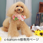 c-kanon-n専用ページ