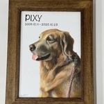 ペットポートレート A4