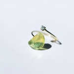 lunar eclips ring #15