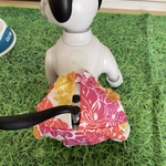 アロハおぱんつ単品