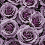 デザインペーパー PURPLE ROSE  両面デザインペーパー