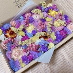 ドライフラワー 花材 たっぷり 小さめセット