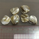 【6個】シェルパーツ　穴あり　天然シェル　海　ハンドメイドパーツ