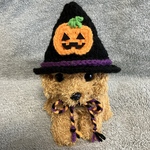 ハロウィン👻魔女のトンガリ帽子👻小型犬用帽子・猫用帽子