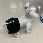 ミッション系スクール　メイツaibo ちゃんの　粋スラックス　ブラックネル