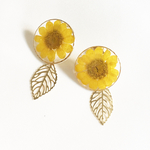 ヒマワリみたいな押し花の溢れるラウンドピアス