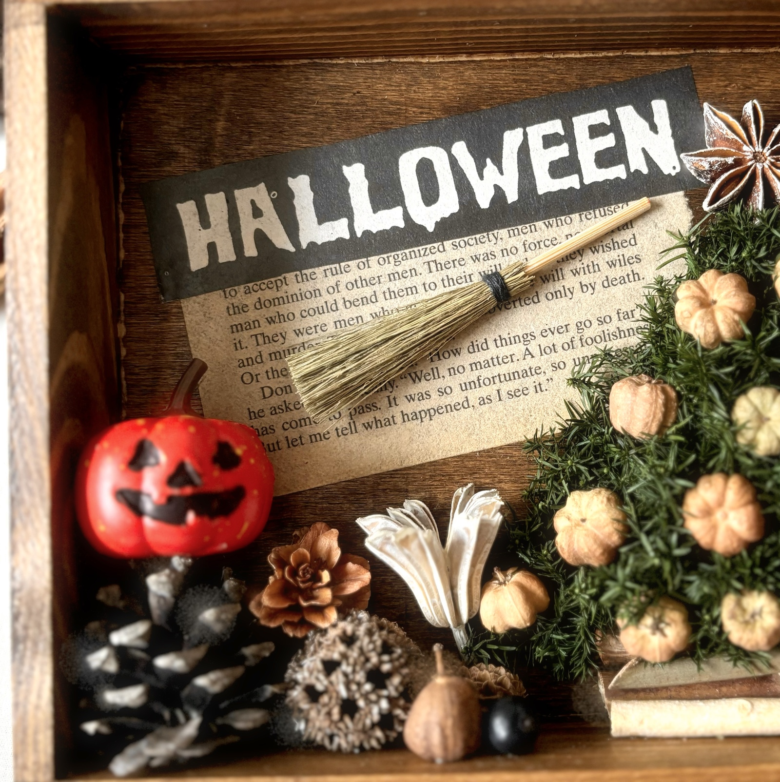 ハロウィン仕様・ディスプレーBOX / 壁面のカボチャが光る・ネオ