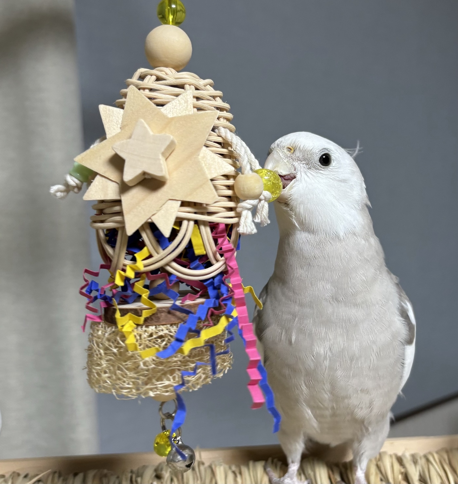 インコおもちゃ　鳥おもちゃ　コルクとバルサセット　バードトイ 鳥のおもちゃ ☆コルクとバルサの鈴付きおもちゃ☆ 【鳥 インコ