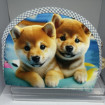 プールで浮き輪で遊ぶ柴犬ちゃん達のポーチ