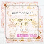 【C-16】Summer bear