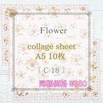 【C-18】Flower