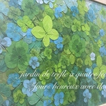 〜jardin de trèfle à quatre feuilles〜クローバーの写真たて☘︎