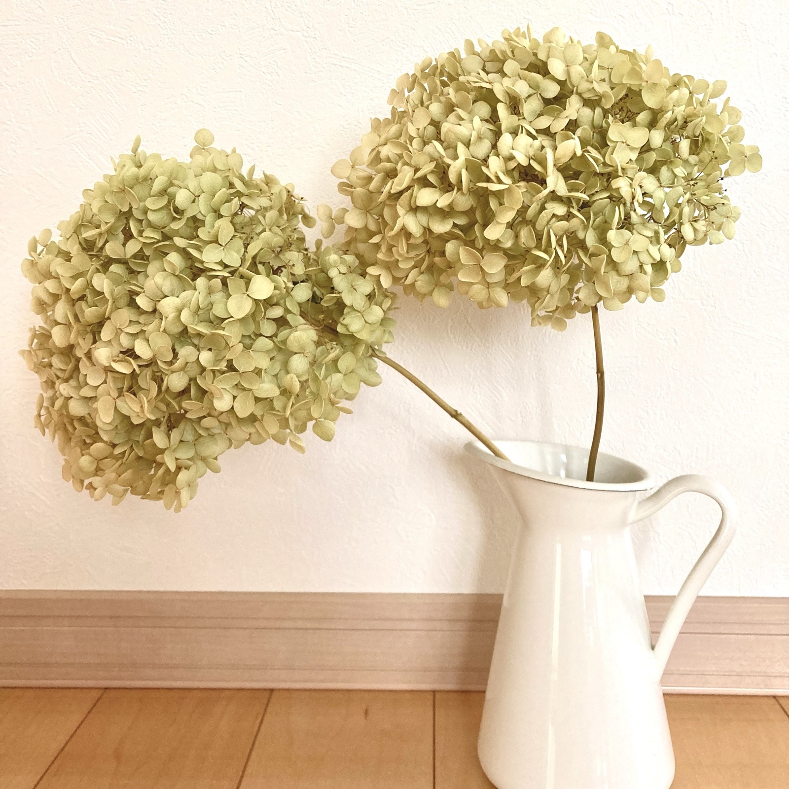 1.アナベルスワッグ No.266 アナベルのスワッグ | AMS.