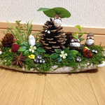 流木&どんぐりの森