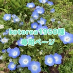 kotorea1950様専用ページ