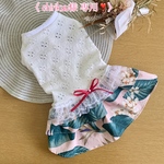 《 chirikuu様 専用❣️》犬服‼︎ レースニットワンピース/ハワイアン/アロハ柄(サイズオーダー)