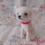 linlin1112様ご依頼品　ヨーキーちゃん
