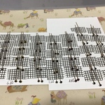 asさま専用ページ