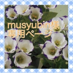 musyubin様専用ページ