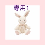 専用の方以外は購入しないでください