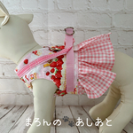 犬用 ハーネス 🍰いちごケーキ