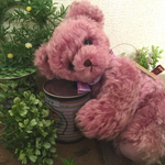 テディベア QOO-紫香