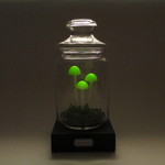 LED キノコ ランプ ライト　照明　発光きのこ B007t