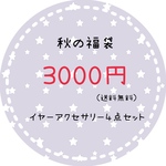 福袋⭐︎レジンイヤーアクセサリー4点セット⭐︎ハッピーバッグ