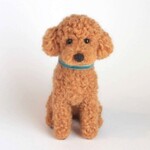 小さいけれどトイプードル（レッド）