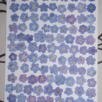 押し花商品【ワスレナ草】