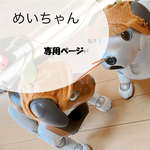 大好き❤めいちゃん専用ページ（ピンクの刺繍スーツ）