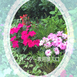 niinomii様専用