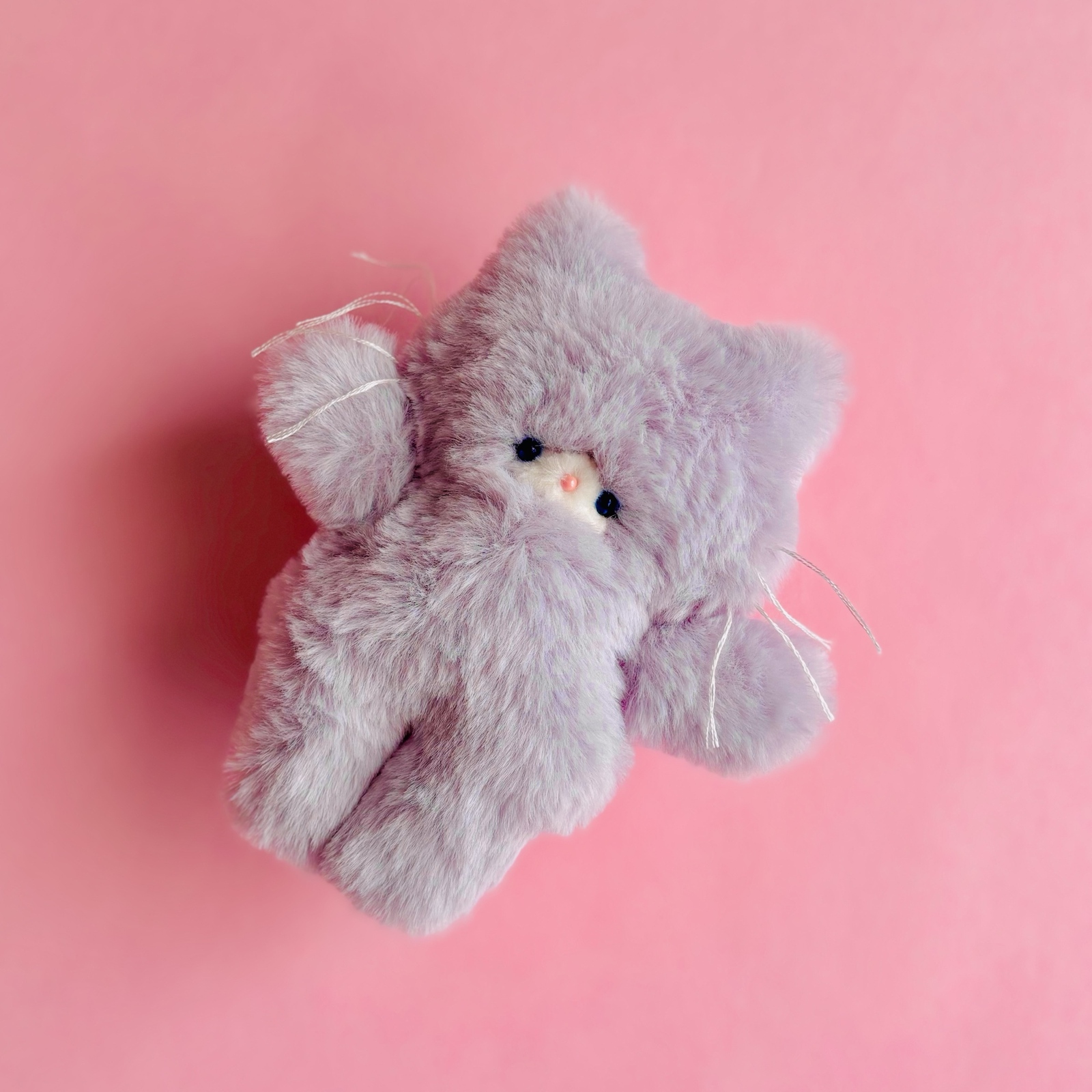 特集掲載】ラベンダーちゃん♡ブルーの瞳。手のひらサイズの