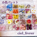可愛い過ぎ✨ドライフラワー 🌸花材 詰め合わせ限定セット❣️小花 ／画像のお花をお入れしています／カラフルMIX／キャンドル ハーバリウム、レジン アクセサリーなどに