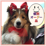 sakukagu様オーダー品