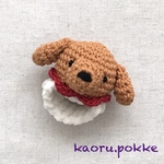 New★トイプードルのリストラトル（アプリコット）