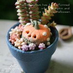 9/15販売★ハロウィン瑠璃兜！単品【陶器】