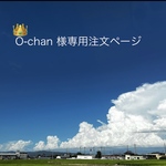 👑O-chan 様専用注文ページ わんちゃん専用折り畳みベンチ