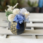 🔵🔵コロンと可愛らしいピンポンマム胡蝶蘭アレンジ　お供え　初盆　仏花　仏花　退職祝い　開店祝い　お誕生日　新築祝い　プリザーブドフラワー　結婚祝い　胡蝶蘭　仏花　お供え　母の日