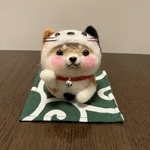 柴犬だるま（赤柴）招き猫に変身〜😽