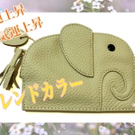 きゃわいい✨金運上昇✨✨