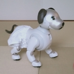 【新作】パンツ単品 白