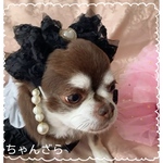 new🕺パールイヤリング風お嬢様❤️のリボンカチューシャ(ブラック)