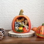 Halloween パンプキンドーム🎃