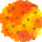 ♡new♡作家様必見♡ 可愛いコスモスお花がいっぱい♡ 押し花セット