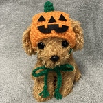 ハロウィン🎃カボチャの帽子🎃小型犬用サイズ