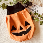 犬服　DSバルーン前丈短　2024ハロウィン ジャックオーランタン🎃