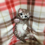 yuki2324mama様ご予約品